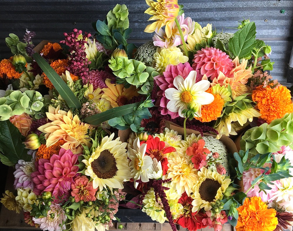 3.  Fall Flower Subscription,    September 17 - Oct 8