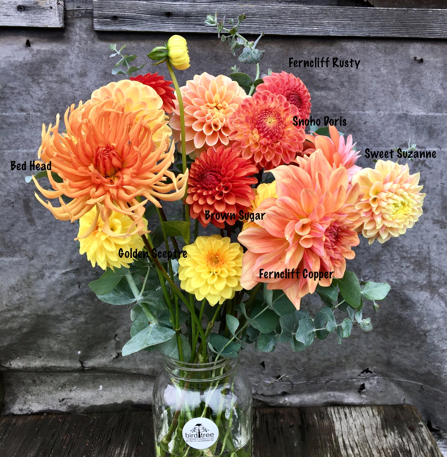 Tête de lit Dahlia