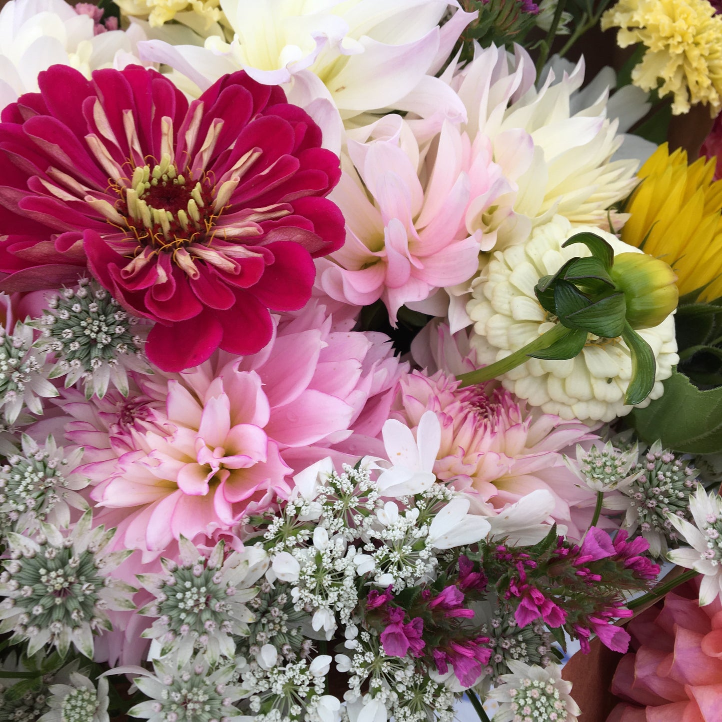 3.  Fall Flower Subscription,    September 17 - Oct 8