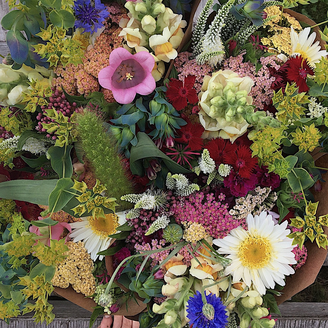 2.  Summer Flower Subscription,      August 6 - 27