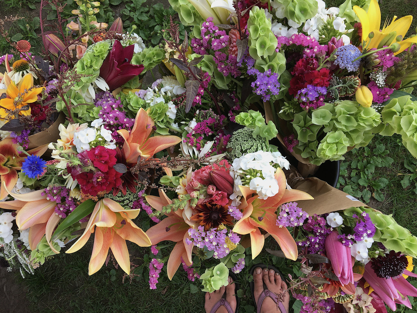 2.  Summer Flower Subscription,      August 6 - 27