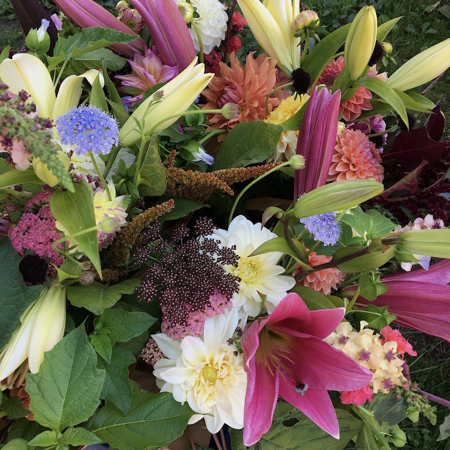 2.  Summer Flower Subscription,      August 6 - 27