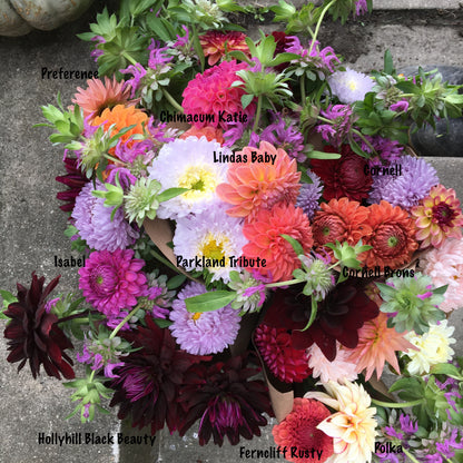 Dahlia Parkland Tribute