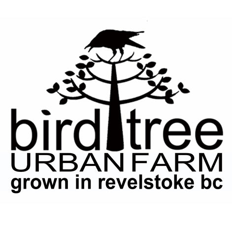 Bird Tree Urban Farm