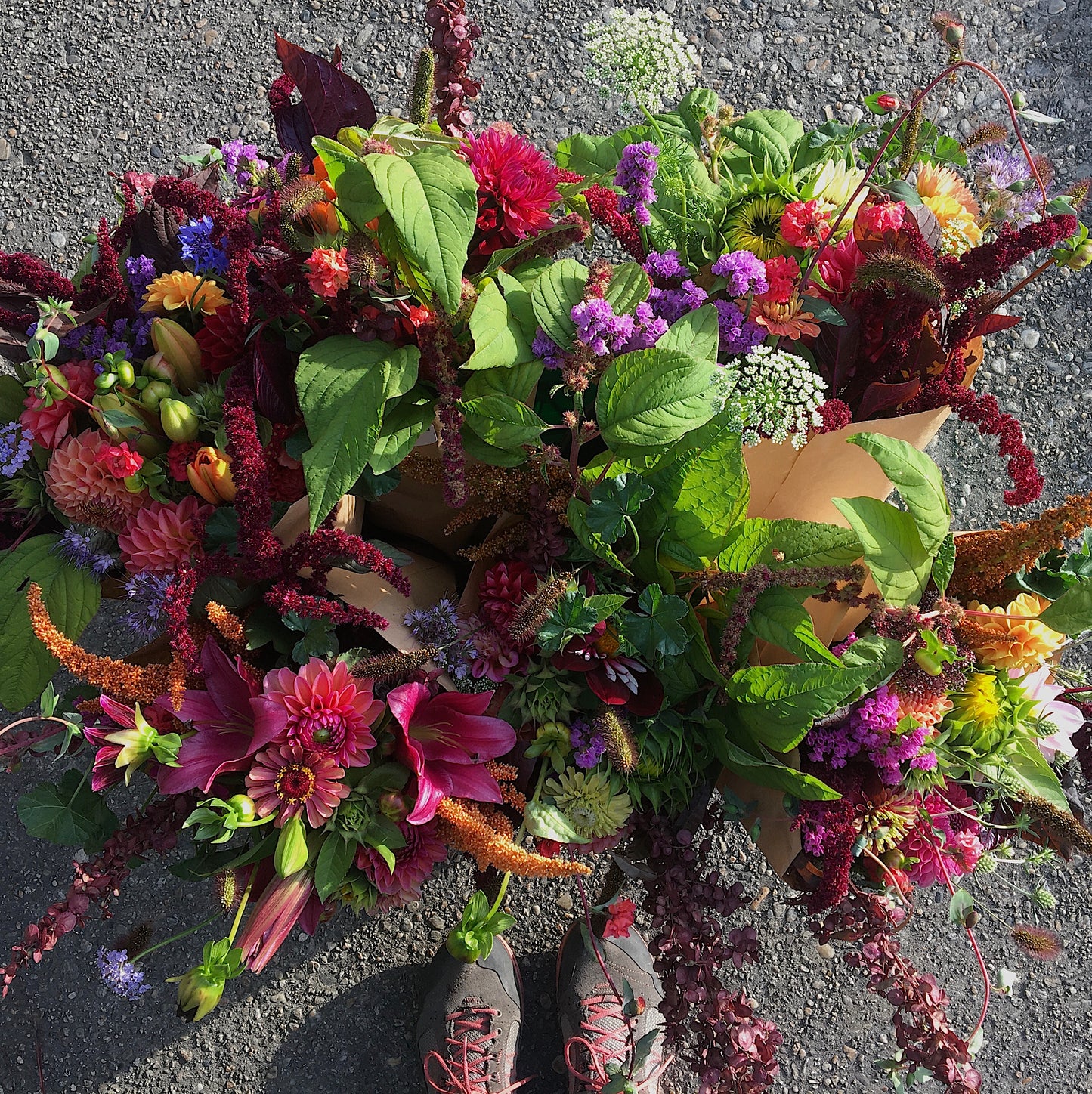 2. Abonnement aux fleurs d'été, du 6 au 27 août