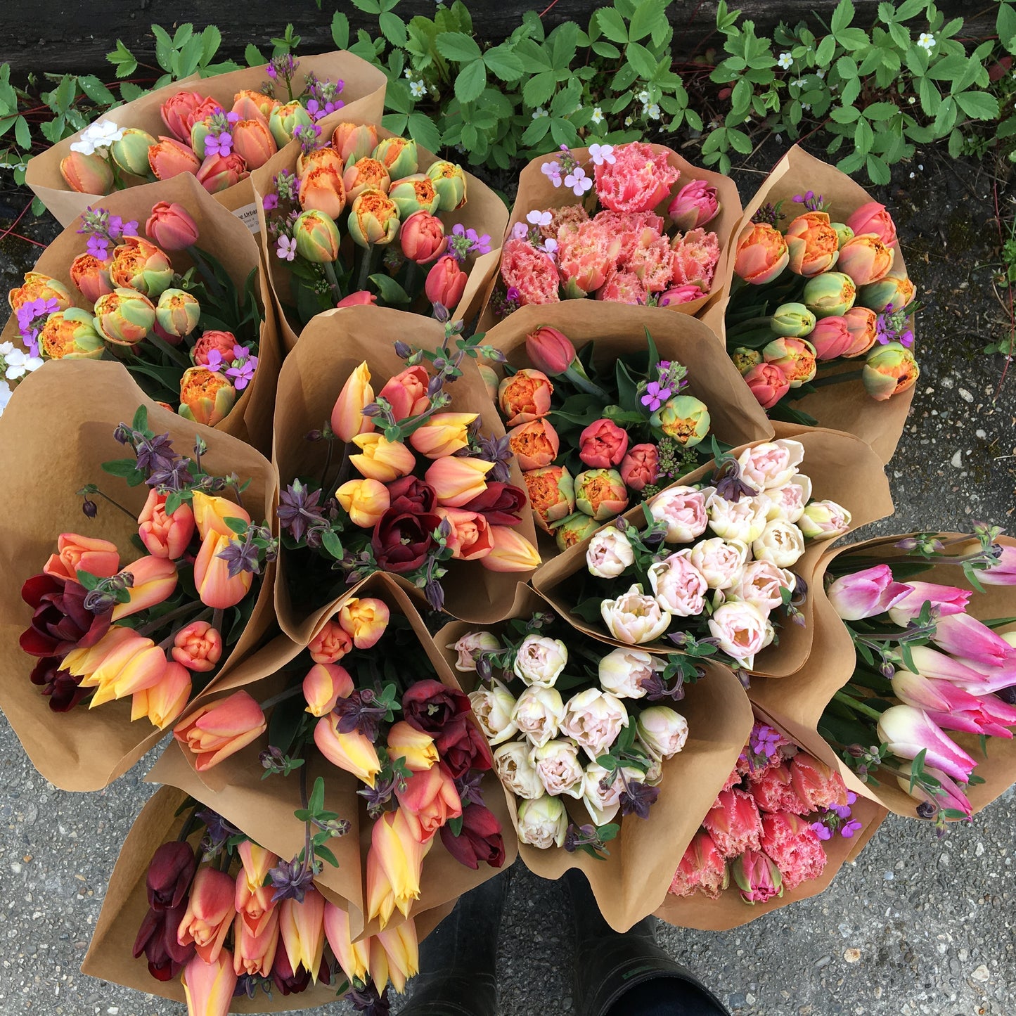 1. Spring Flower Subscription,        May 16 - June 6  SOLD OUT